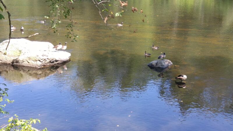 Farmington River Trail Parking Lot - Burlington, CT