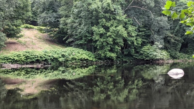 Farmington River Trail Parking Lot - Burlington, CT