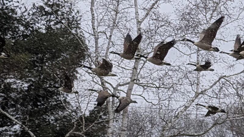 Malerbo Athletic Field - Burlington, CT