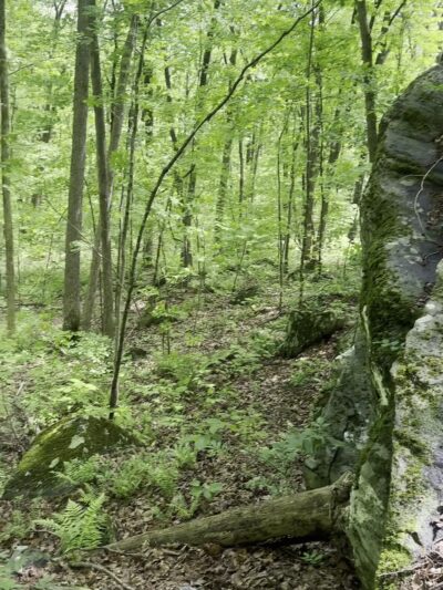 Mile of Ledges - Burlington, CT