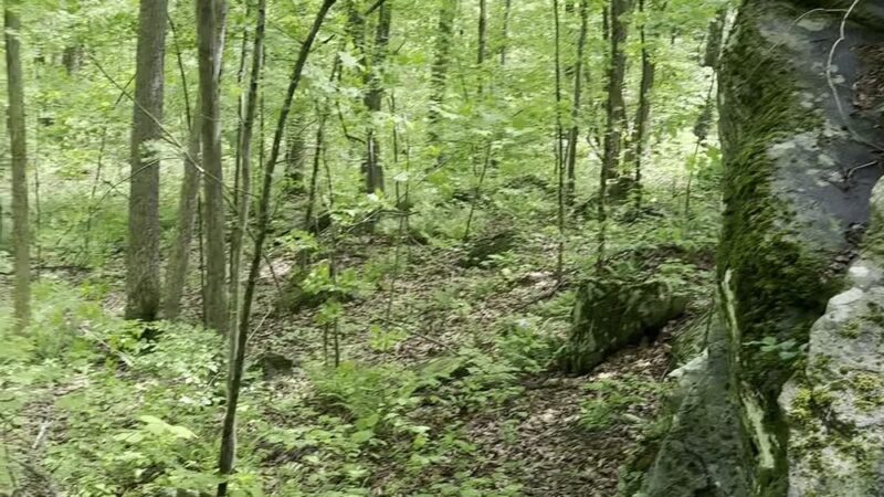 Mile of Ledges - Burlington, CT