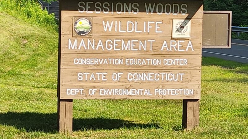 Sessions Woods Wildlife Management - Burlington, CT