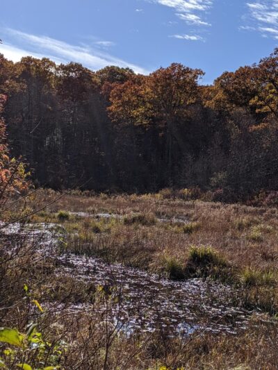 Sessions Woods Wildlife Management - Burlington, CT