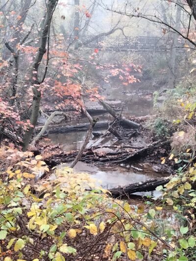 Assiscunk Creek Park - Burlington, NJ