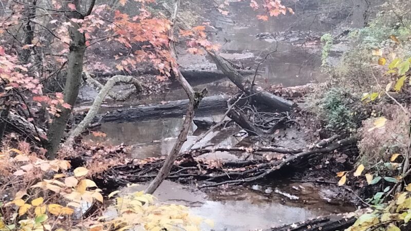 Assiscunk Creek Park - Burlington, NJ
