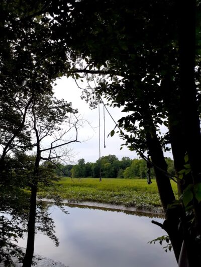 Assiscunk Creek Park - Burlington, NJ