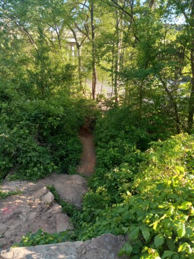 Haw River Trail - Burlington, NC