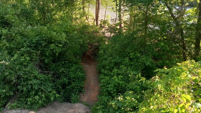 Haw River Trail - Burlington, NC