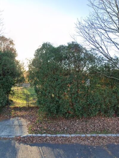 Rocky Trail - Burlington Township, NJ