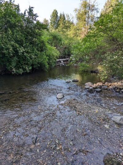 Donovan Park - Burlington, WA