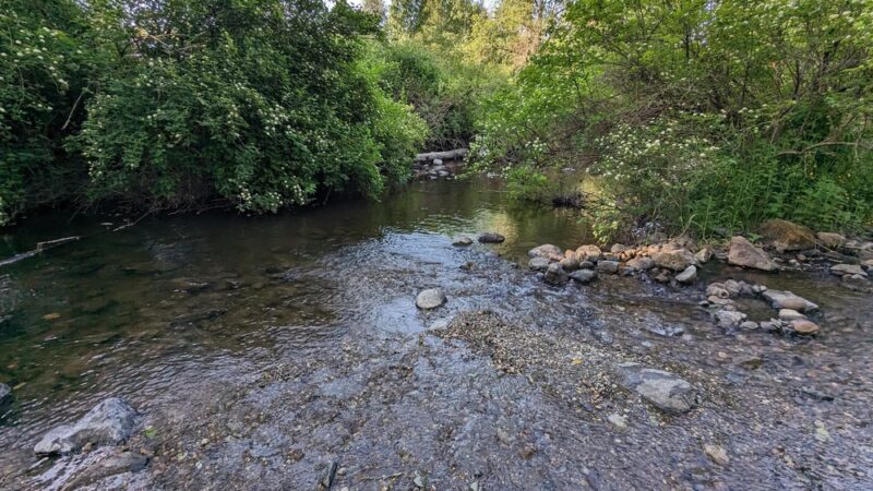 Donovan Park - Burlington, WA