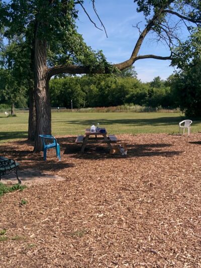 Burlington Dog Park - Burlington, WI