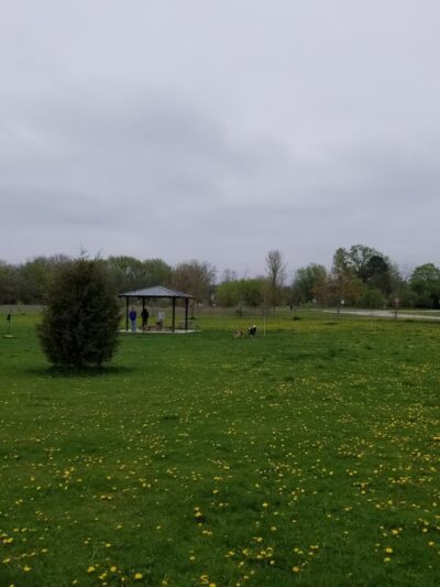 Jean Jacobson Dog Park - Burlington, WI