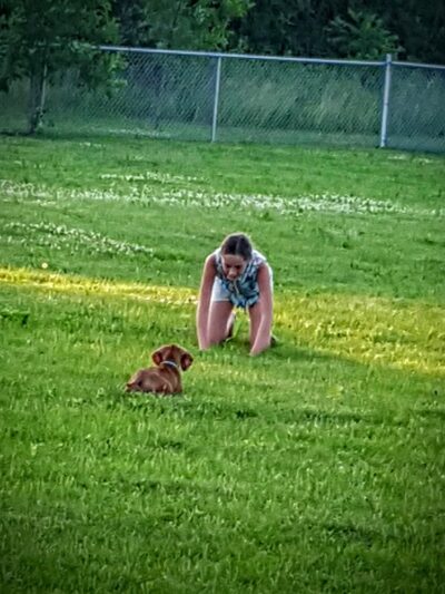 Jean Jacobson Dog Park - Burlington, WI