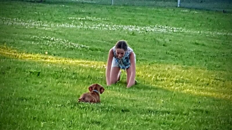 Jean Jacobson Dog Park - Burlington, WI