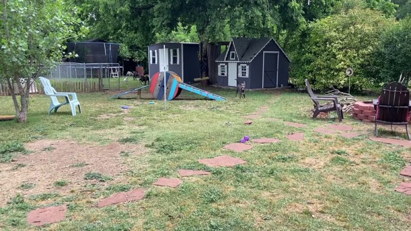 Sonya's Doggy Daycare & Boarding SDD&B - Burnet, TX