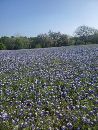 Haley Nelson Park - Burnet, TX