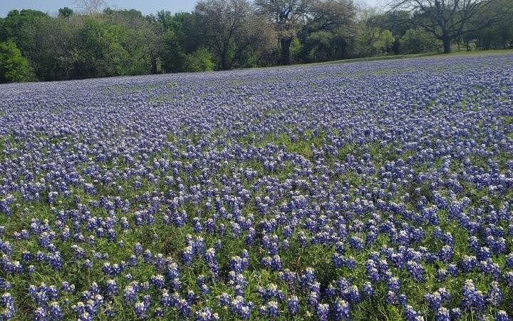 Haley Nelson Park - Burnet, TX
