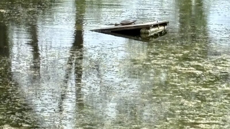 Riverside Park - Burwell, NE