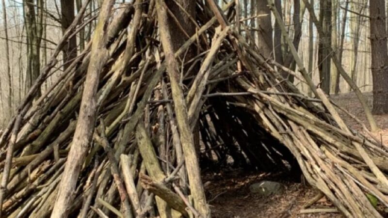 Alameda Park Pine Shelter - Butler, PA