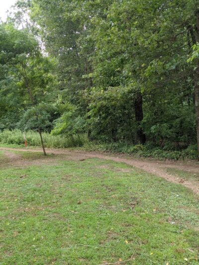 Alameda Singletrack - Butler, PA