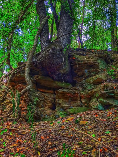 Butler-Freeport Community Trail Bonniebrook Road Trailhead - Butler, PA