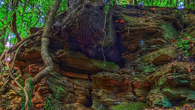 Butler-Freeport Community Trail Bonniebrook Road Trailhead - Butler, PA