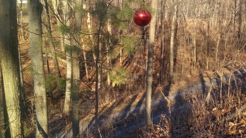 Butler-Freeport Community Trail Bonniebrook Road Trailhead - Butler, PA