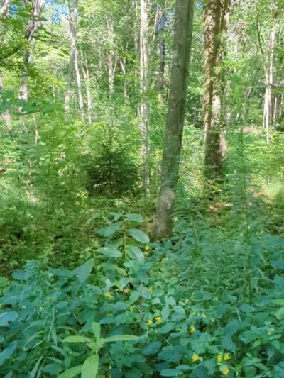 Butler-Freeport Community Trail Butler Trailhead - Butler, PA