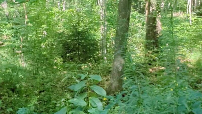 Butler-Freeport Community Trail Butler Trailhead - Butler, PA