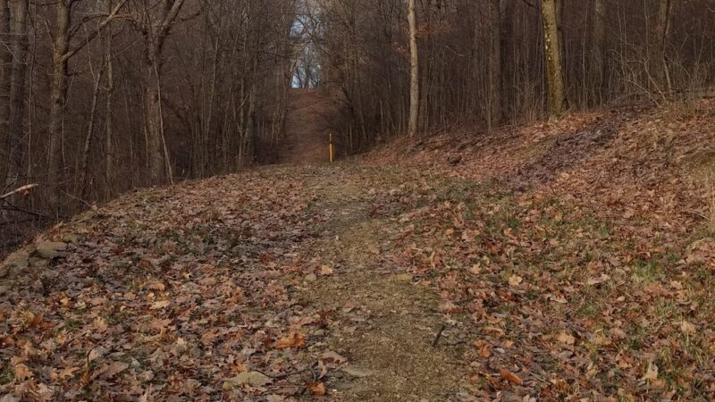 Butler Memorial Park - Butler, PA