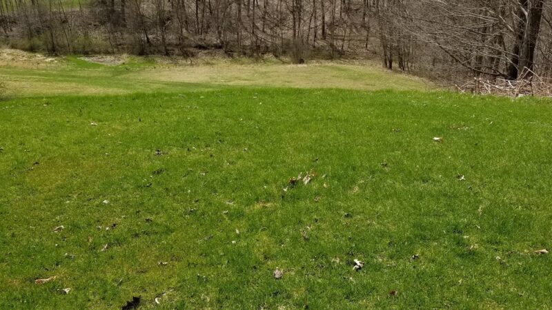 Butler Township Park - Butler, PA