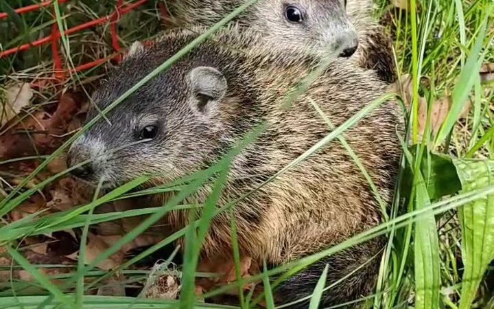 Butler Township Park - Butler, PA