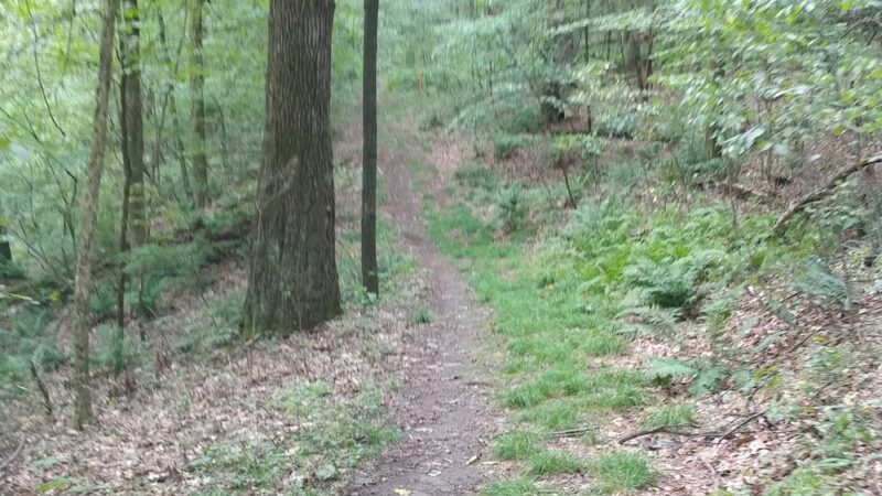 Butler Township Park - Butler, PA