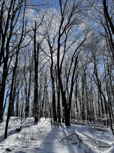 Butler Township Park - Butler, PA