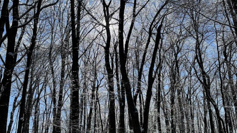 Butler Township Park - Butler, PA