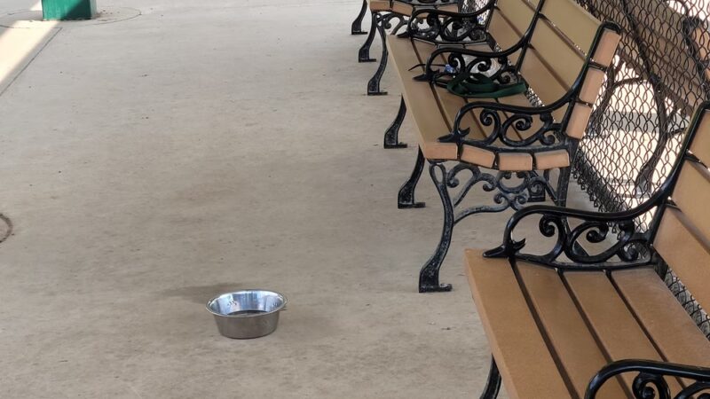 Jade's Dog Park - Butler, PA