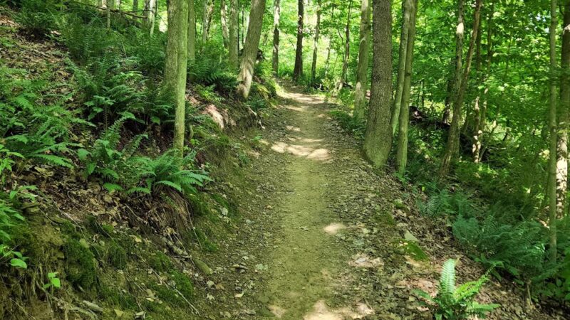 Lower Alameda Park - Butler, PA