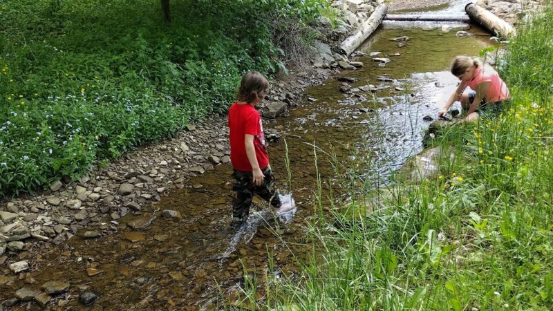 Lower Alameda Park - Butler, PA