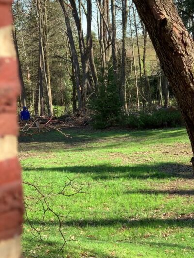 Preston Park - Butler, PA