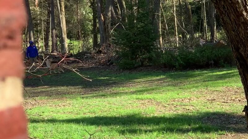 Preston Park - Butler, PA