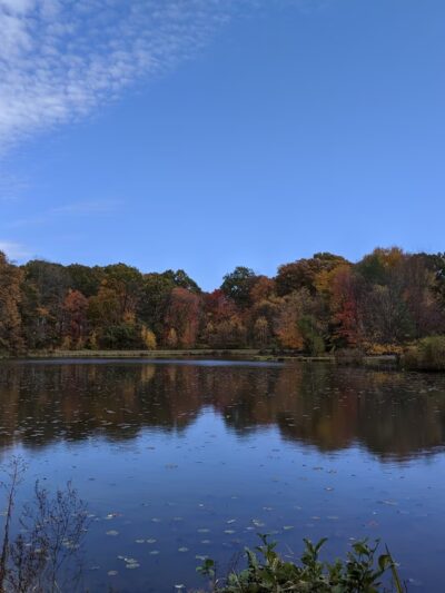 Preston Park - Butler, PA