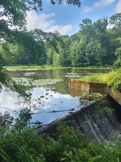 Preston Park - Butler, PA