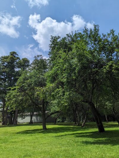 Preston Park - Butler, PA