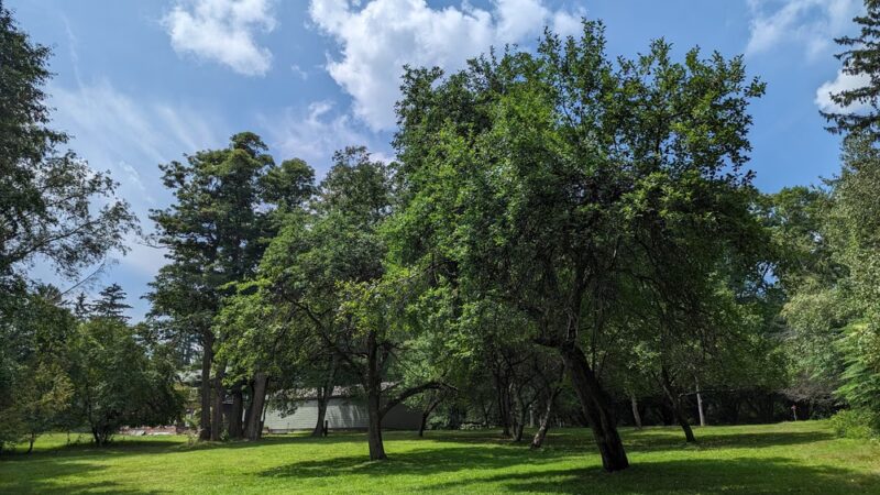 Preston Park - Butler, PA