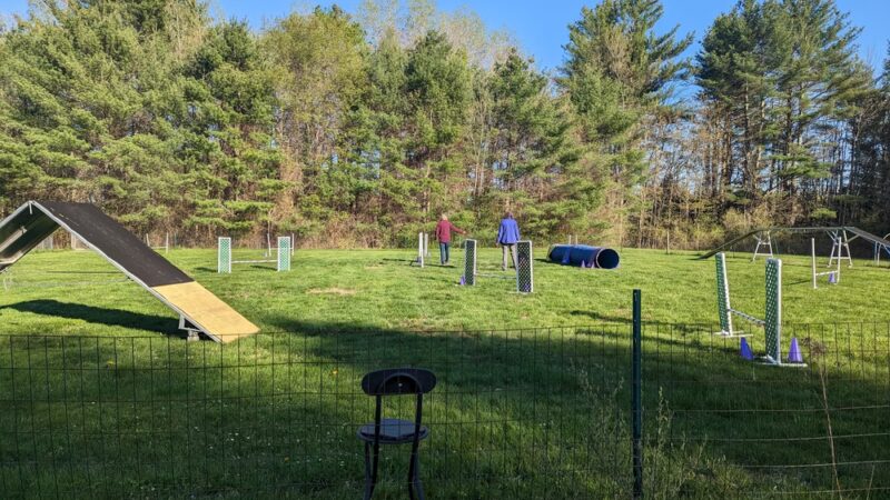DogSense Training - Buxton, ME