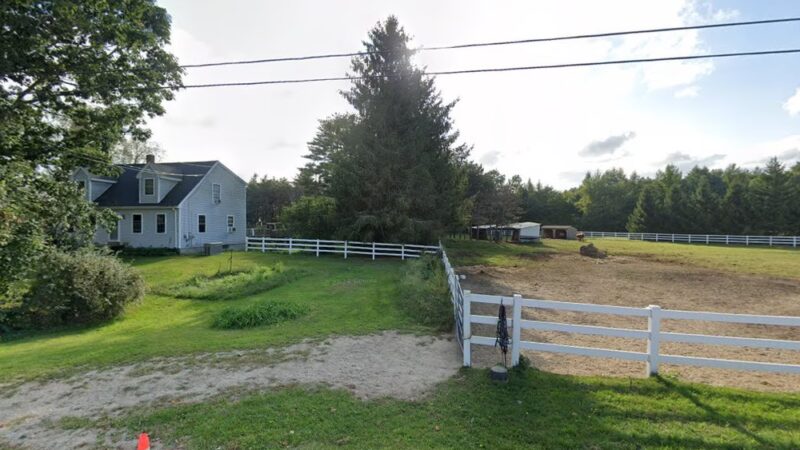 DogSense Training - Buxton, ME