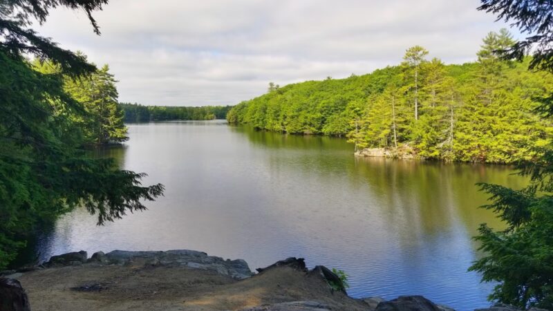 Pleasant Point Park - Buxton, ME