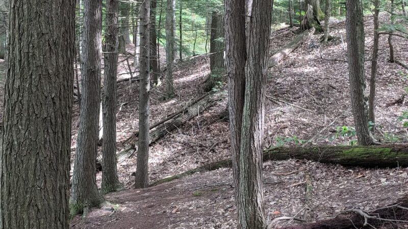 Pleasant Point Park - Buxton, ME