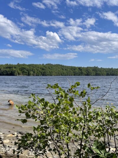 Pleasant Point Park - Buxton, ME